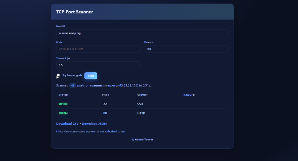 Screenshot of Port Scanner project